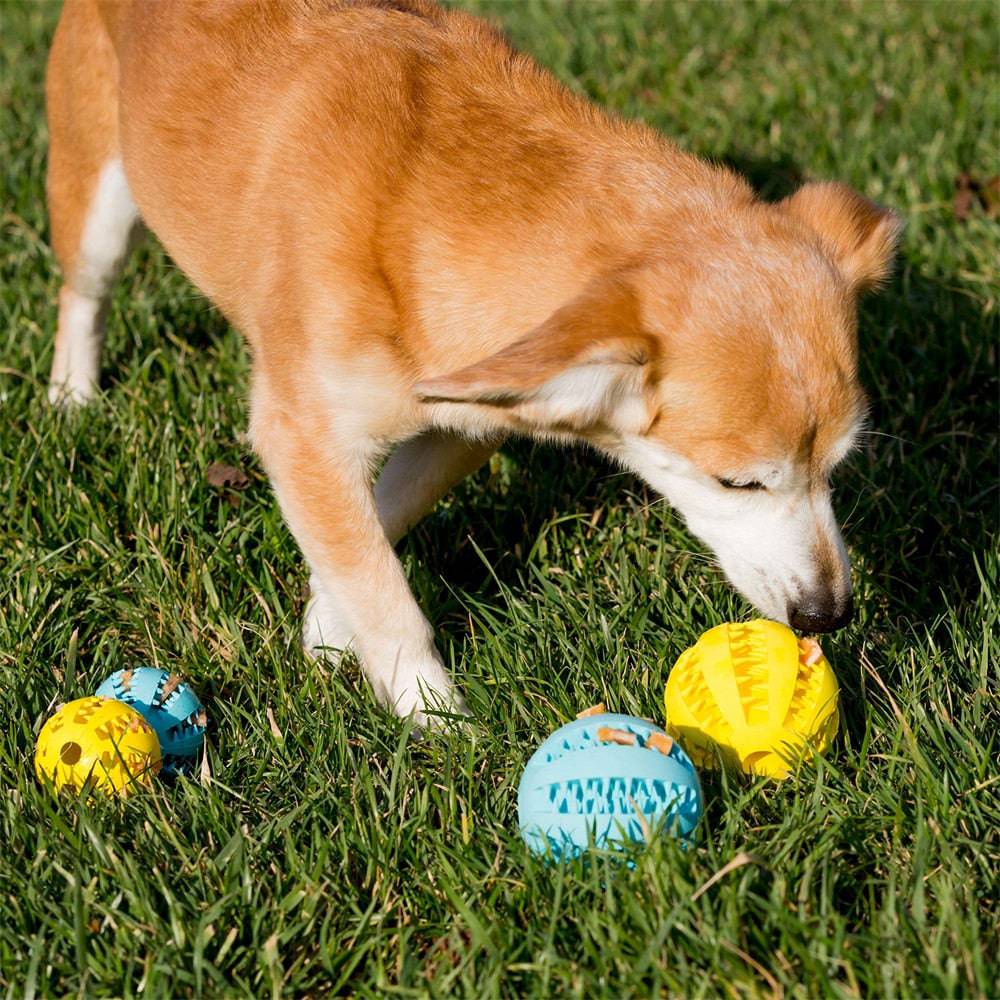 Pet Tooth Cleaning Treat Ball™ - FREE TODAY - Classy Pet Life