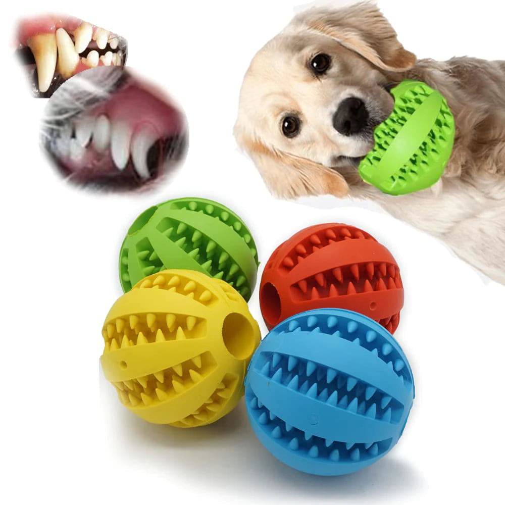 Pet Tooth Cleaning Treat Ball™ - FREE TODAY - Classy Pet Life