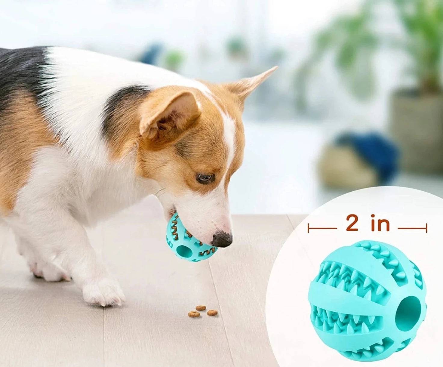 Pet Tooth Cleaning Treat Ball™ - FREE TODAY - Classy Pet Life