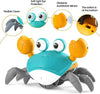 Crawling Crab Toy - Free Shipping - Classy Pet Life