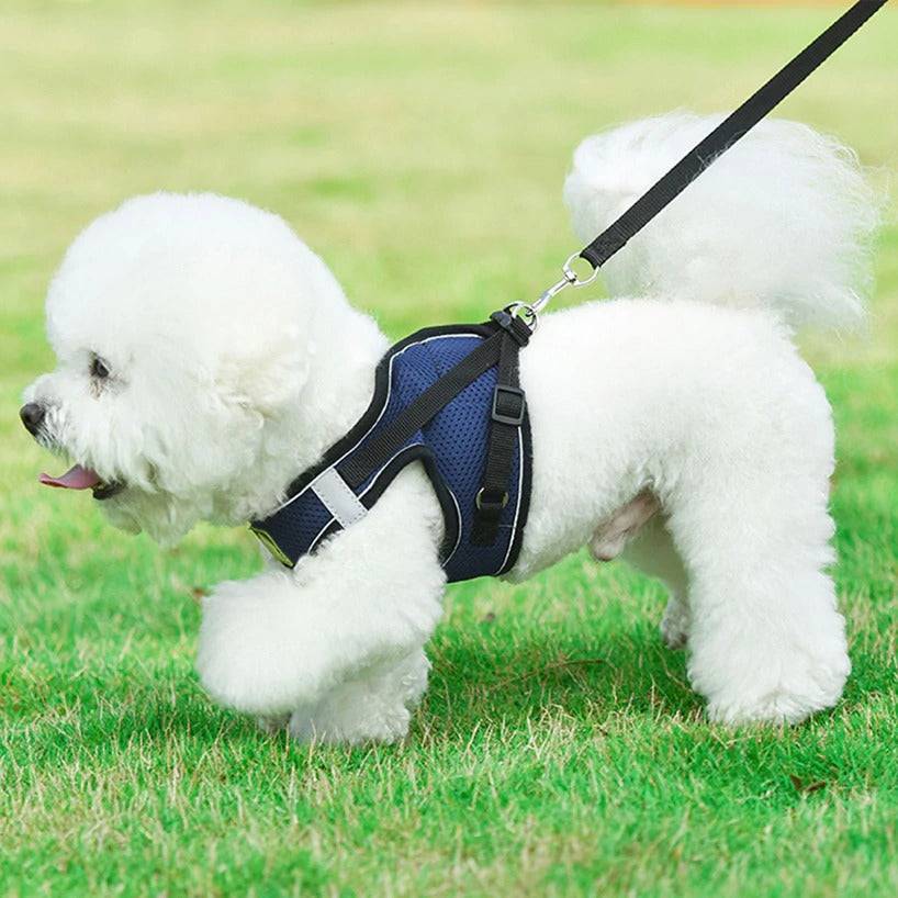 No Pull Reflective & Breathable Dog Harness + Leash - Classy Pet Life