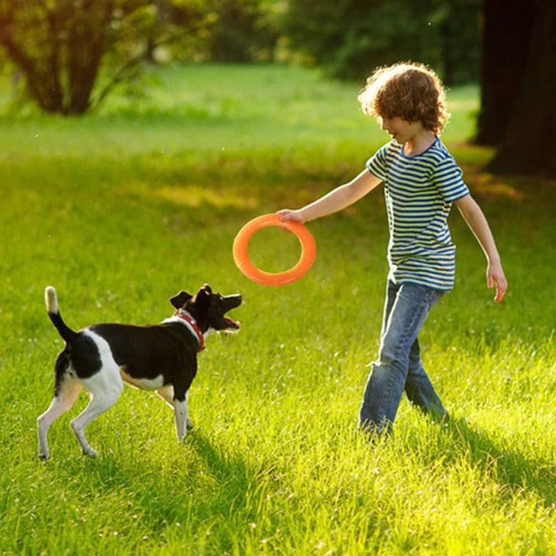 Flying Discs Bite Ring Toy - FREE TODAY ONLY - Classy Pet Life