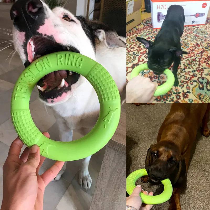 Flying Discs Bite Ring Toy - FREE TODAY ONLY - Classy Pet Life