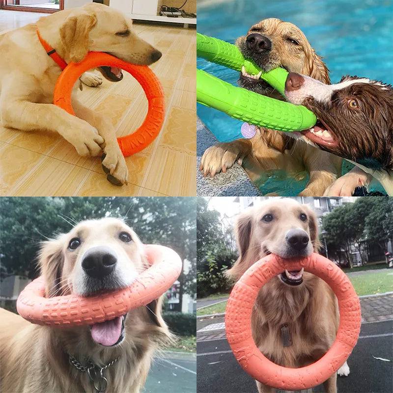 Flying Discs Bite Ring Toy - FREE TODAY ONLY - Classy Pet Life