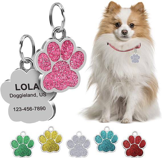 Personalized Tags for Dogs-FREE TODAY ONLY - Classy Pet Life