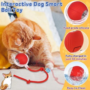 PawBall™ Interactive Pet Motion Ball