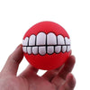 Teethball Squeaking Pet Toy for Small to Large Dogs - Free Today Only - Classy Pet Life