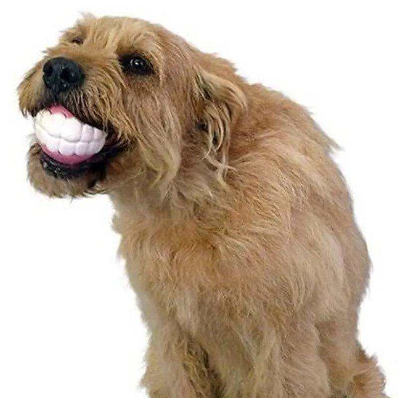 Teethball Squeaking Pet Toy for Small to Large Dogs - Free Today Only - Classy Pet Life