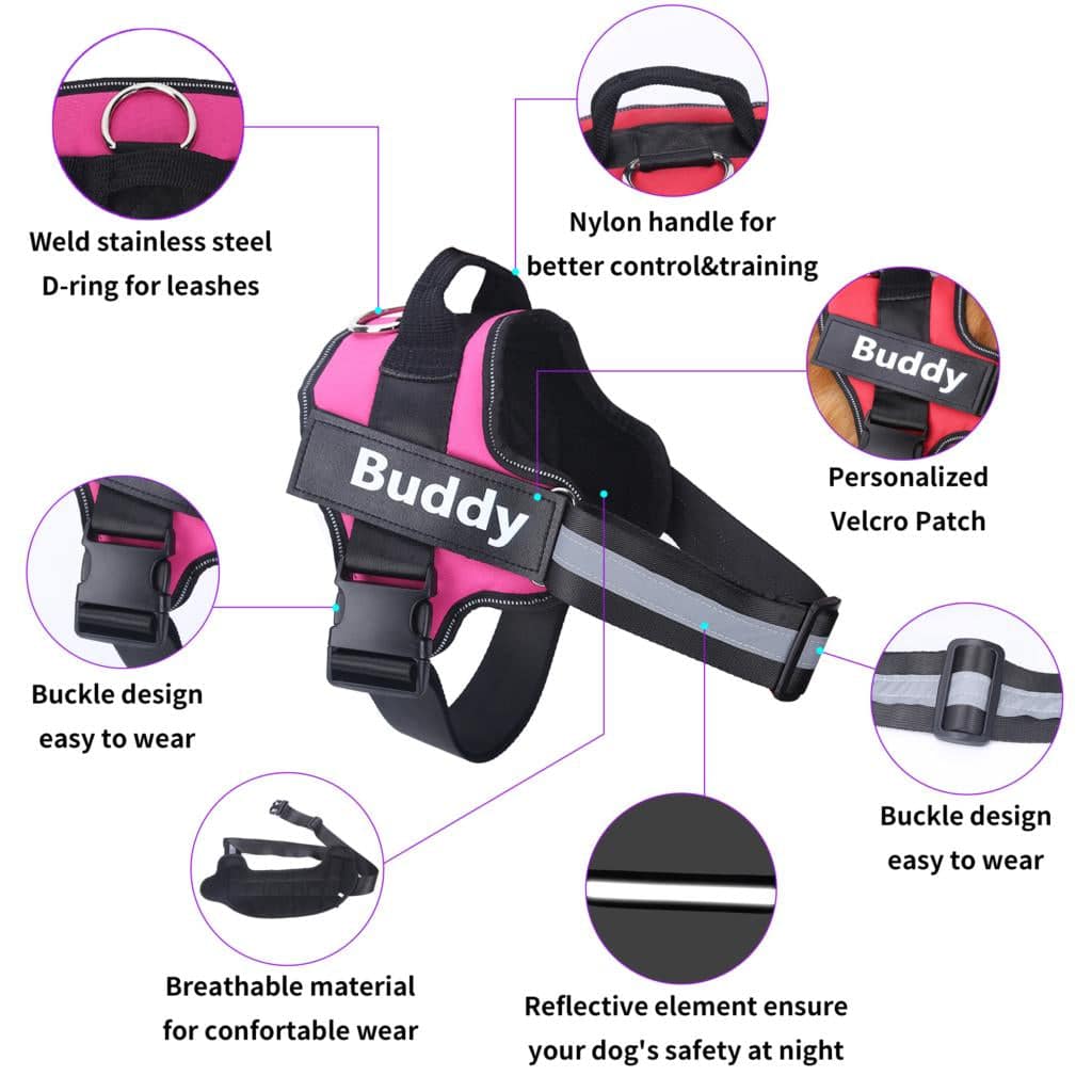 Personalized Breathable Pet Harness - FREE TODAY - Classy Pet Life