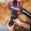 Personalized Breathable Dog Harness - FREE TODAY - Classy Pet Life