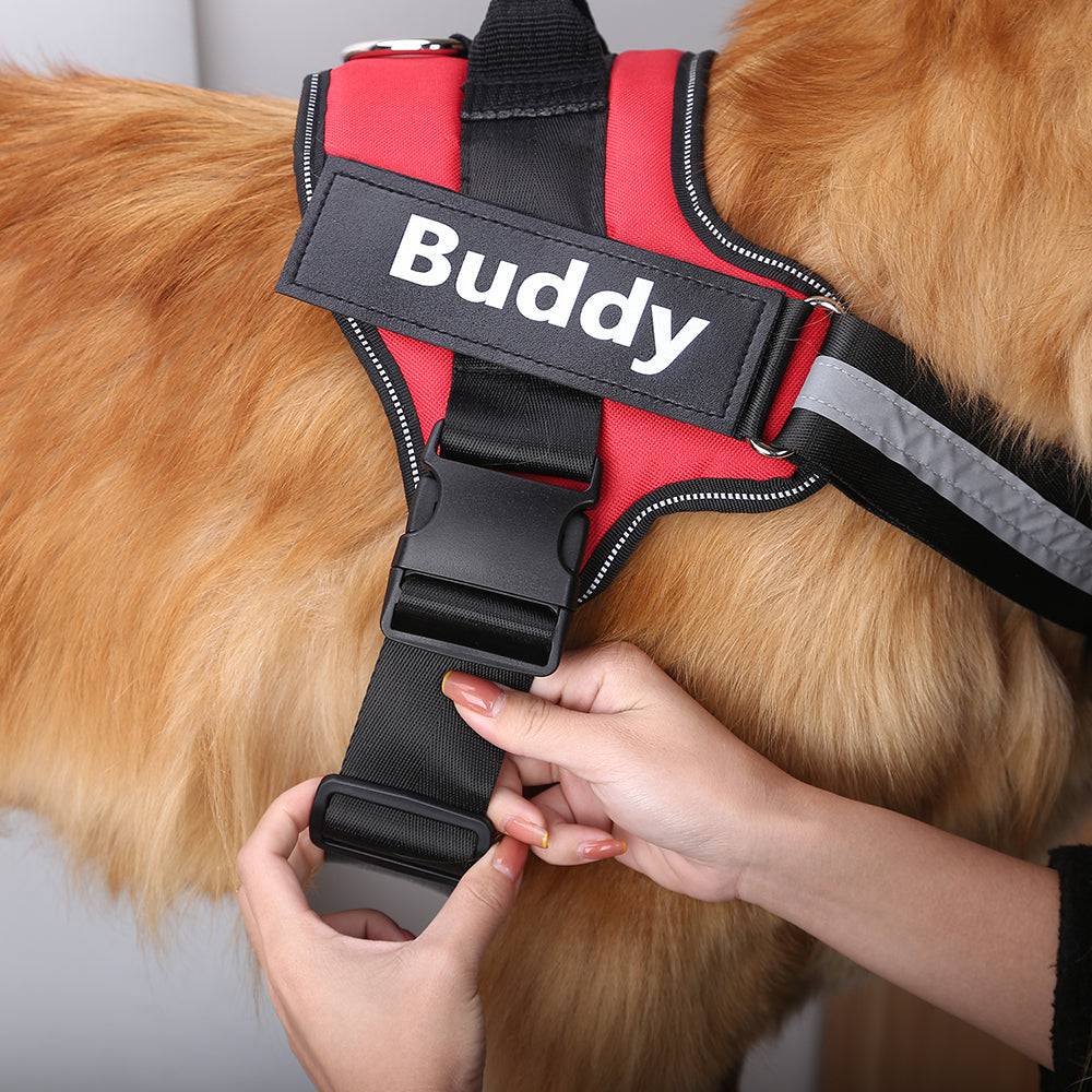 Personalized Breathable Dog Harness - FREE TODAY - Classy Pet Life