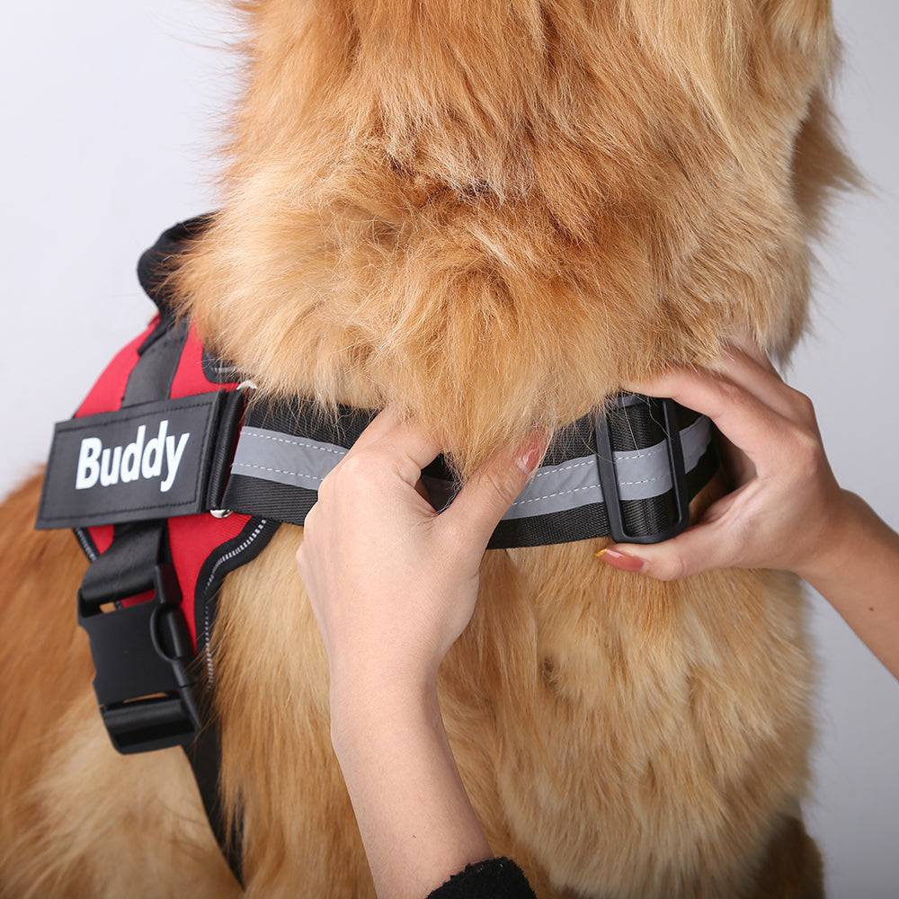 Personalized Breathable Pet Harness - FREE TODAY - Classy Pet Life