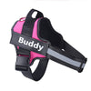 Personalized Breathable Dog Harness - FREE TODAY - Classy Pet Life