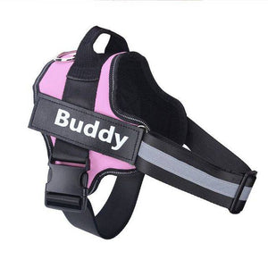 Personalized Breathable Dog Harness - FREE TODAY - Classy Pet Life