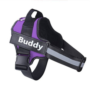 Personalized Breathable Pet Harness - FREE TODAY - Classy Pet Life