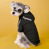 Waterproof Dog's Jacket - FREE SHIPPING - Classy Pet Life