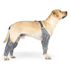 Dog Pants To Prevent Licking For Breeds - Free Shipping - Classy Pet Life