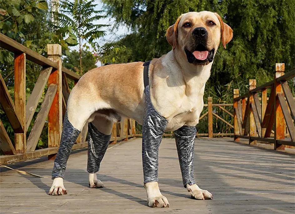 Dog Pants To Prevent Licking For Breeds - Free Shipping - Classy Pet Life