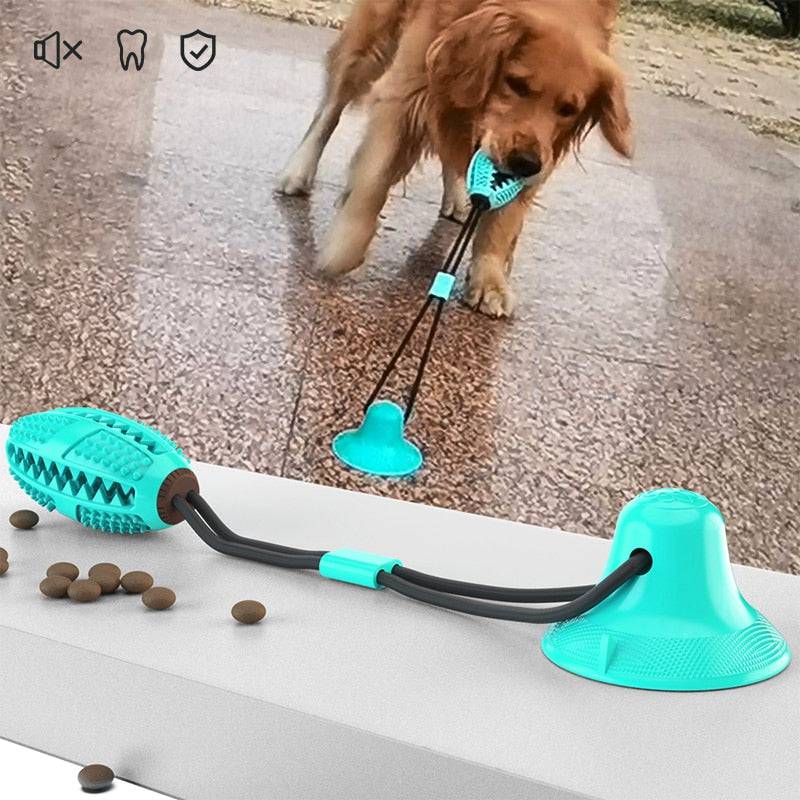 Playbrush Teeth Cleaning Interactive Toy - FREE TODAY - Classy Pet Life