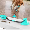 Playbrush Teeth Cleaning Interactive Toy - FREE TODAY - Classy Pet Life