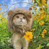 Cute Lion Mane Cat Wig - FREE TODAY ONLY - Classy Pet Life