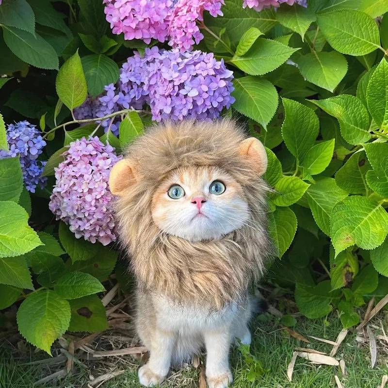 Cute Lion Mane Cat Wig - FREE TODAY ONLY - Classy Pet Life