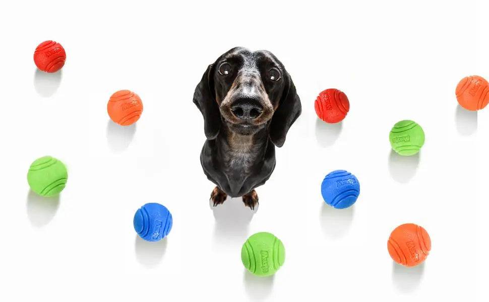 MORDIBALL™- BITE-RESISTANT RUBBER BALL - Free Today Only - Classy Pet Life