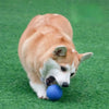 MORDIBALL™- BITE-RESISTANT RUBBER BALL - Free Today Only - Classy Pet Life