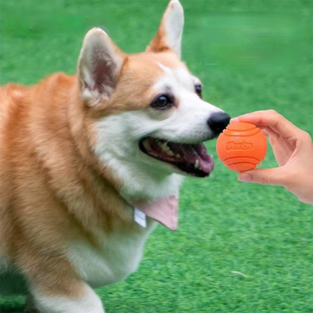 MORDIBALL™- BITE-RESISTANT RUBBER BALL - Free Today Only - Classy Pet Life
