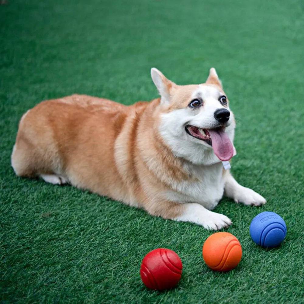 MORDIBALL™- BITE-RESISTANT RUBBER BALL - Free Today Only - Classy Pet Life