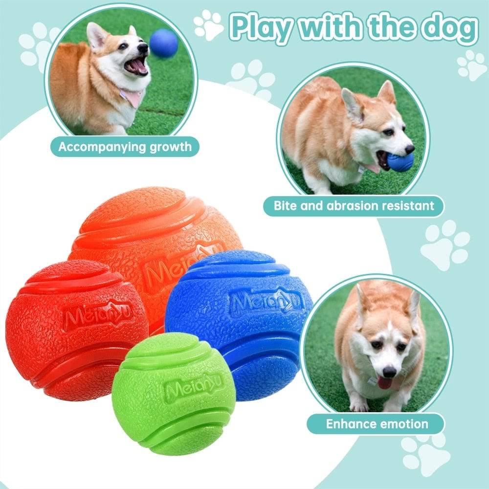 MORDIBALL™- BITE-RESISTANT RUBBER BALL - Free Today Only - Classy Pet Life