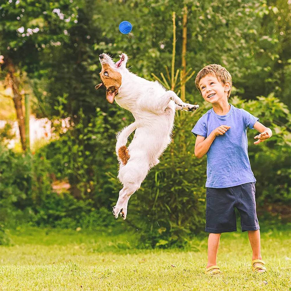 MORDIBALL™- BITE-RESISTANT RUBBER BALL - Free Today Only – Classy Pet Life