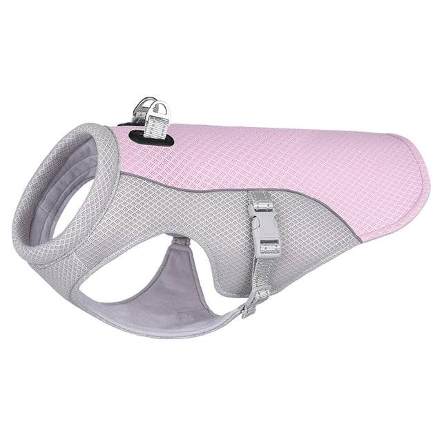 Dog Cooling Harness - Free Shipping - Classy Pet Life