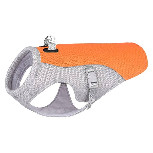 Dog Cooling Harness - Free Shipping - Classy Pet Life