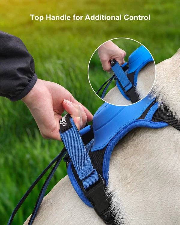 Dog Harness and Retractable Leash Set All-in-One - FREE SHIPPING - Classy Pet Life