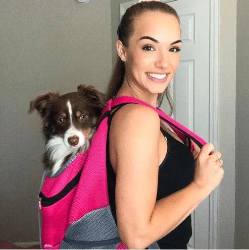 🔥BIG SALE 50% OFF🔥2023 Summer Dog Backpack🐶 - Classy Pet Life