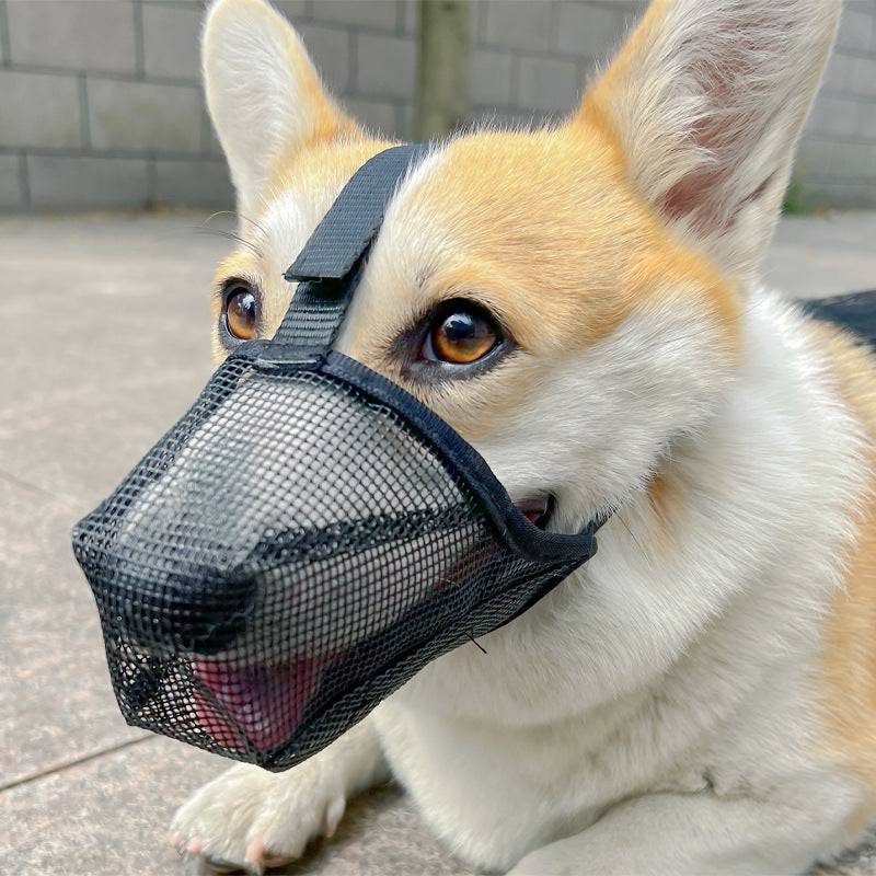 Adjustable Breathable Dog Muzzles - FREE TODAY ONLY - Classy Pet Life