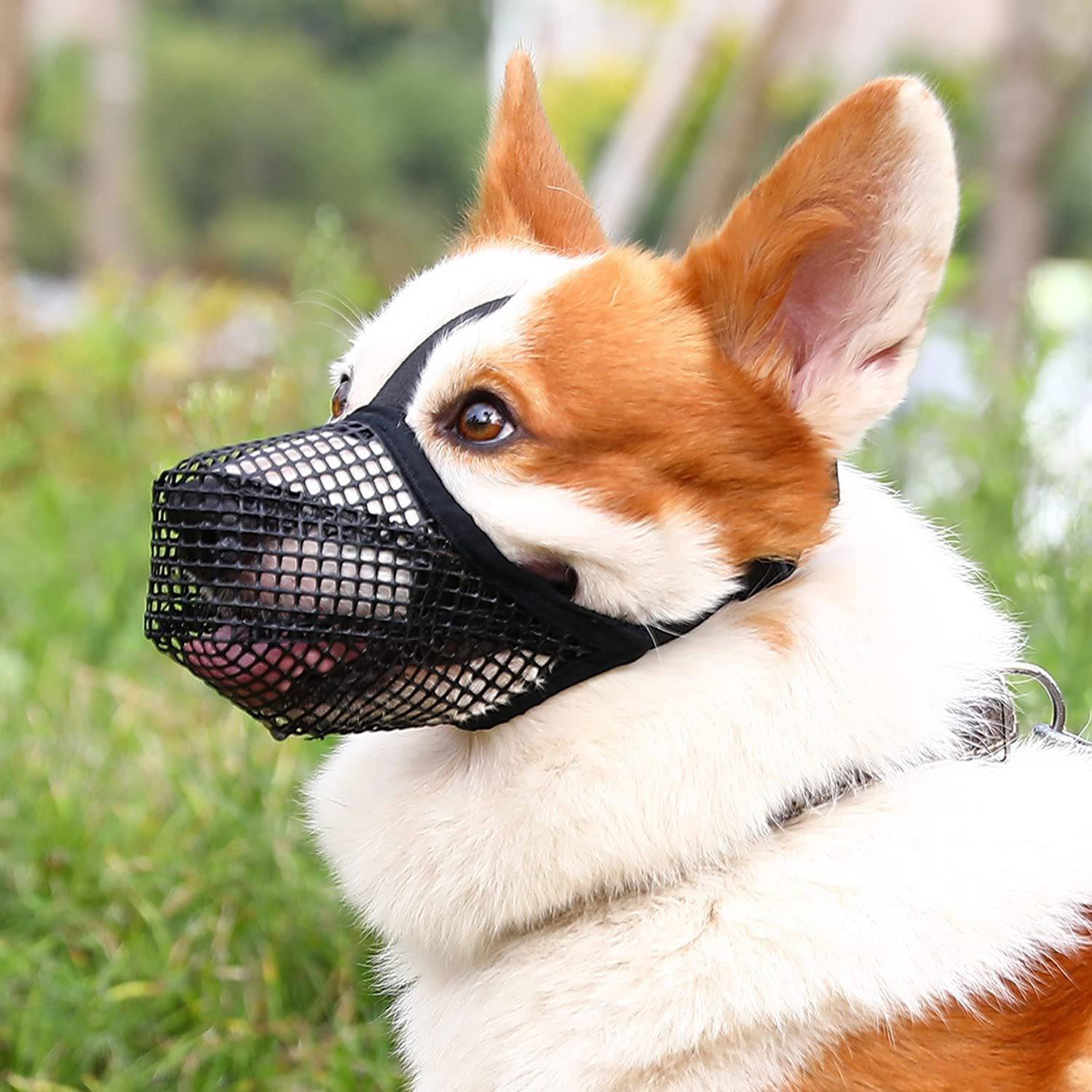 Adjustable Breathable Dog Muzzles - FREE TODAY ONLY - Classy Pet Life