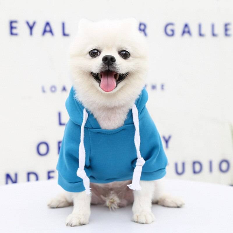 Dog Hoodie Sweatshirts with Pockets - Free Today Only - Classy Pet Life