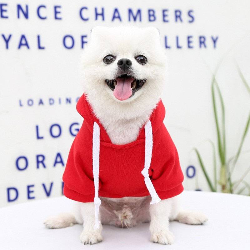 Dog Hoodie Sweatshirts with Pockets - Free Today Only - Classy Pet Life