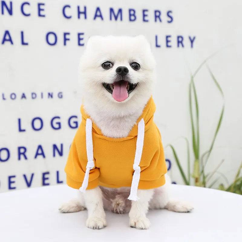 Dog Hoodie Sweatshirts with Pockets - Free Today Only - Classy Pet Life