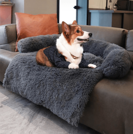 Premium Calming Pet Bed & Furniture Protector - FREE SHIPPING - Classy Pet Life