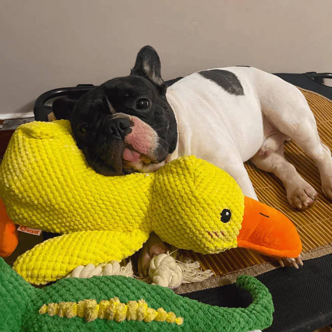 Indestructible Calming Duck - Classy Pet Life