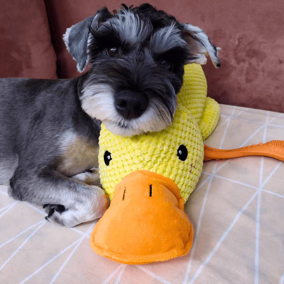 Indestructible Calming Duck - Classy Pet Life