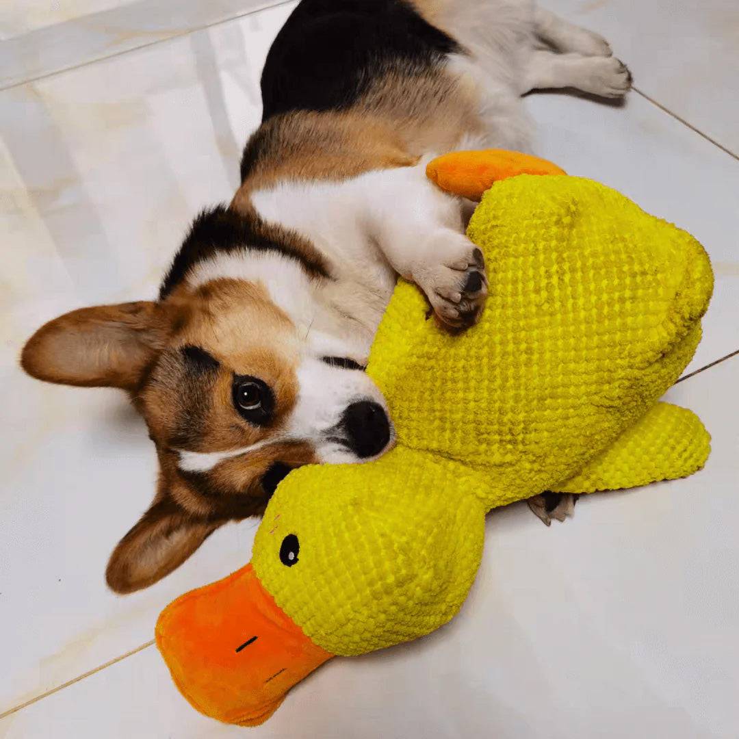 Indestructible Calming Duck - Classy Pet Life