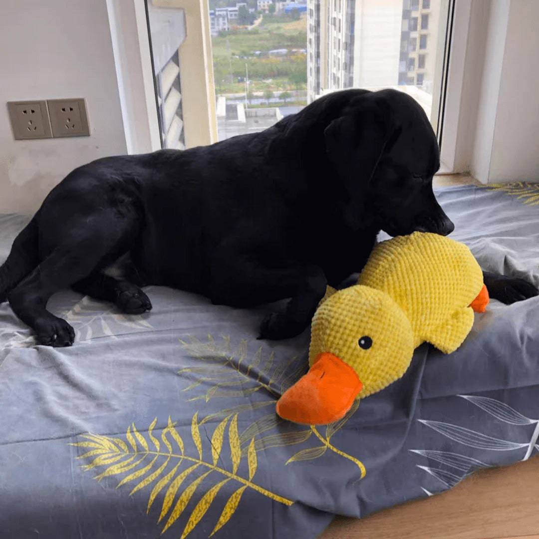 Indestructible Calming Duck - Classy Pet Life