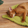 Leaf Pet Bed/Mat - FREE SHIPPING - Classy Pet Life