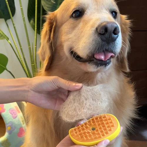 Steamy Pet Brush - FREE TODAY ONLY - Classy Pet Life