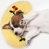 Ultimate Calming Pillow - FREE TODAY ONLY - Classy Pet Life
